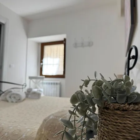 Tatil Evi Teresina *